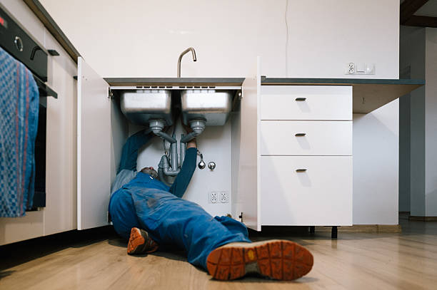 Professional Plumbing technician working in Hamel, MN